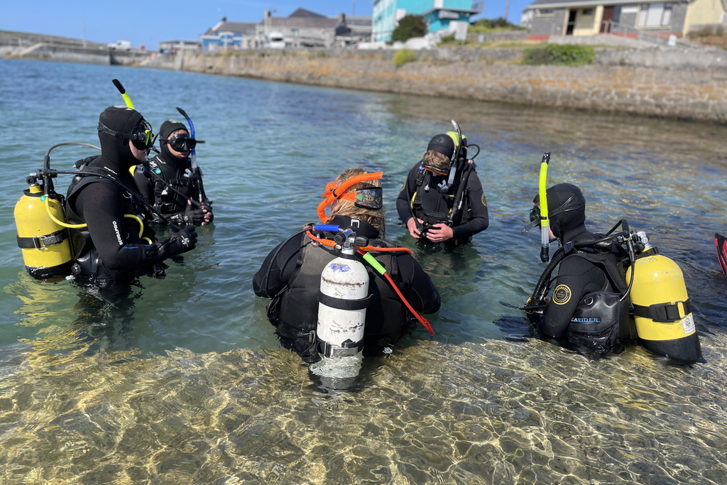 divers practice in the water during open water diver course 