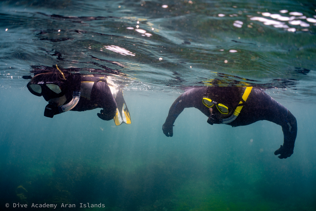 snorkelers exploring underwater world during wildlife snorkelling around inishmore