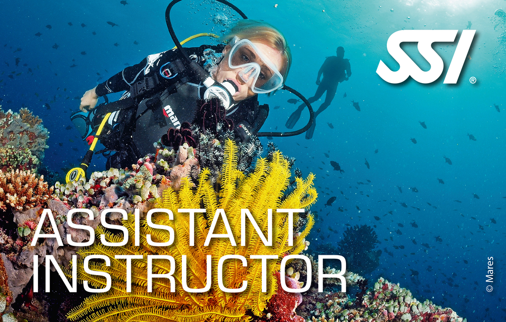 SSI assistant instructor certification card received in Inishmore, Aran Islands