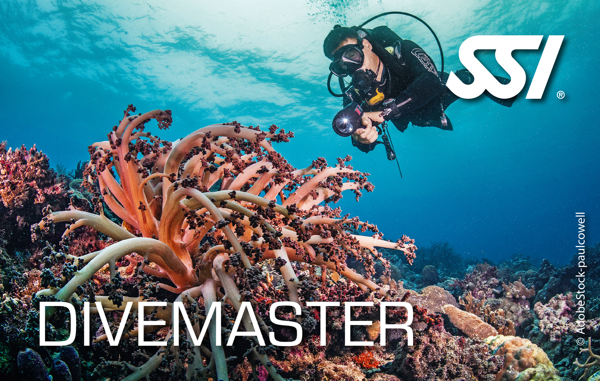 SSI Divemaster Course | Become a Professional Diver - Dive Aran